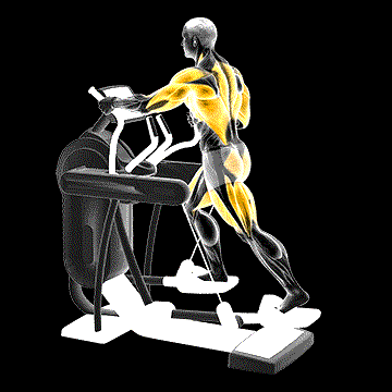 Elliptical Machine Walk demonstration