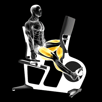 Leg Extension demonstration
