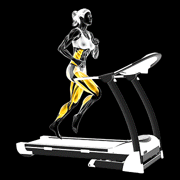 Run on Treadmill demonstration