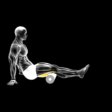 Roll Hamstring Sitting on Floor demonstration