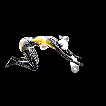 Roll-Back Stretch demonstration