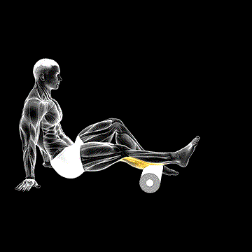 Roll Calf (One-Leg) demonstration