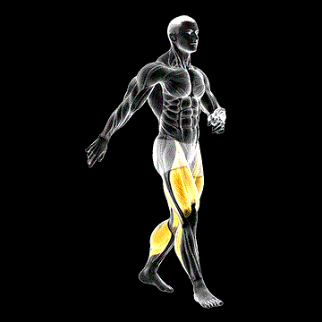Walking demonstration