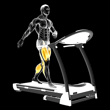 Walking on Treadmill demonstration