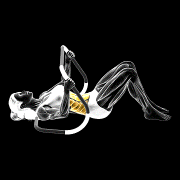 Ab Roller Crunch demonstration