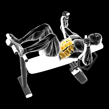 Lever Lying Crunch demonstration