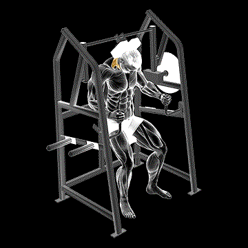 Lever Neck Extension (Plate Loaded) demonstration