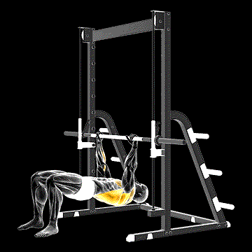 Inverted Row Bent Knees demonstration