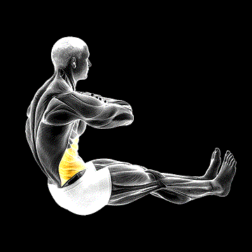 Spine Twist demonstration