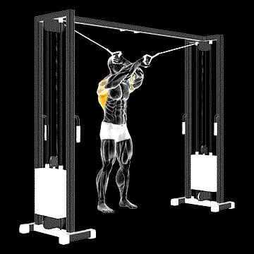 Cable Lat Pulldown Full Range Of Motion demonstration