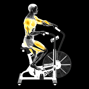 Cycle Cross Trainer demonstration