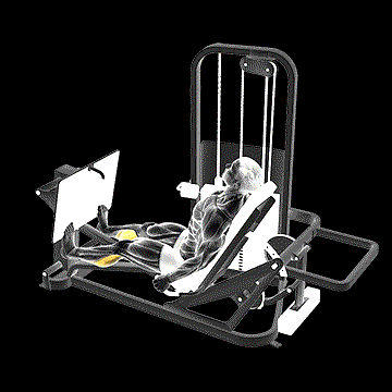 Lever Seated Calf Press demonstration