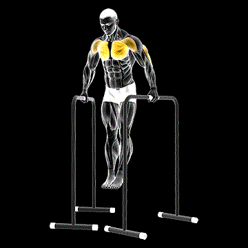 Wide-Grip Chest Dip demonstration