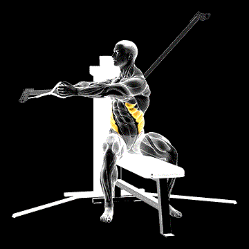 Cable Seated Twist demonstration