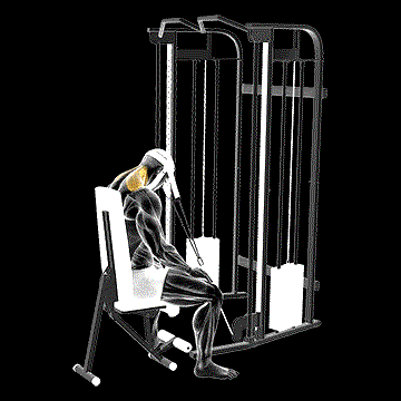 Cable Seated Neck Extension (w/ Head Harness) demonstration