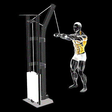 Cable Thibaudeau Kayak Row demonstration