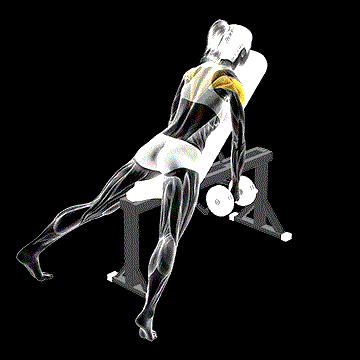Dumbbell Incline Rear Fly demonstration