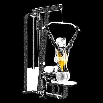 Cable Wide-Grip Rear Pulldown Behind Neck demonstration