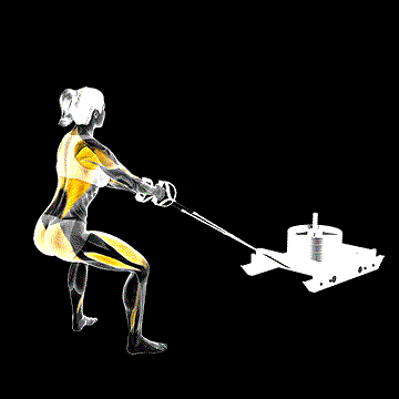 Power Sled Pull Row demonstration