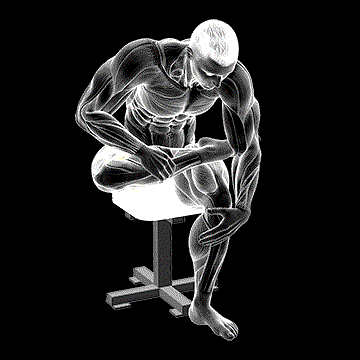Seated Piriformis Stretch demonstration