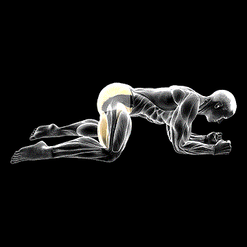 Rocking Frog Stretch demonstration