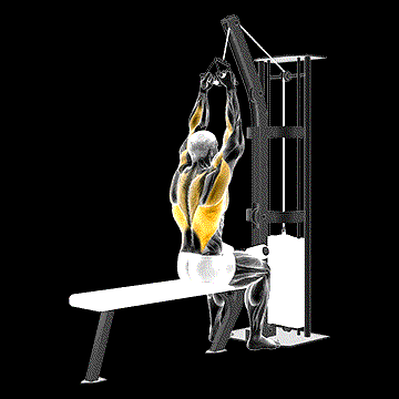 Cable Lateral Pulldown (w/ V Bar) demonstration