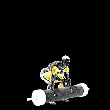 Strongman Log Lift demonstration