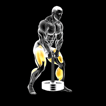 Strongman Duck Walk demonstration