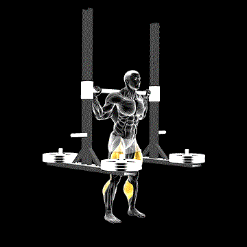 Strongman Squat (w/ Platform) demonstration