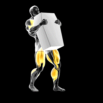 Strongman Shield Carry demonstration