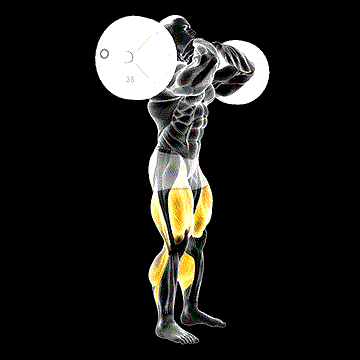 Strongman Front Chest Squat demonstration
