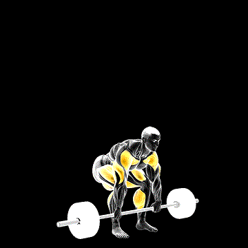 Strongman Apollons Axle demonstration