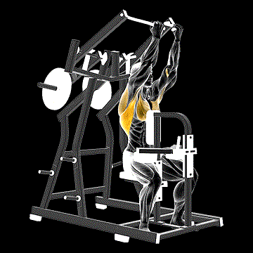 Lever Reverse-Grip Lateral Pulldown demonstration