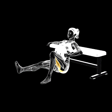 Weighted Hip Thrust demonstration