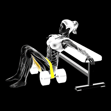Band Hip Thrust demonstration