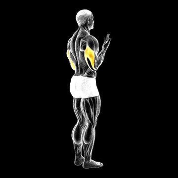 Elbow Extension demonstration