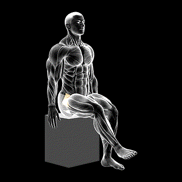 Hip Medial Rotation (Internal Rotation) demonstration