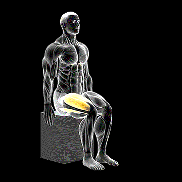 Knee Extension demonstration