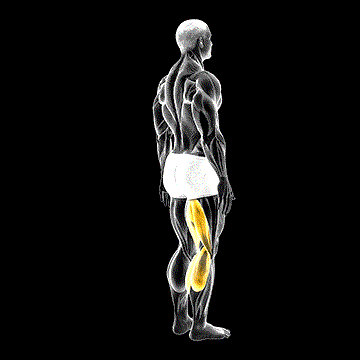 Knee Flexion demonstration