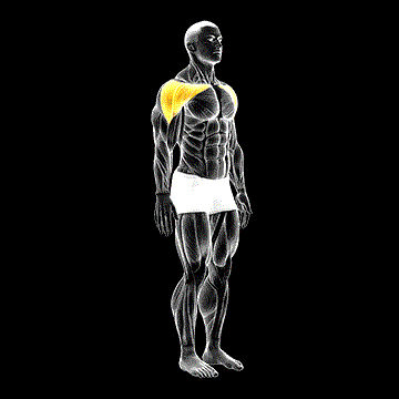 Shoulder Abduction demonstration