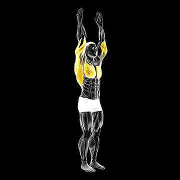 Shoulder Extension demonstration