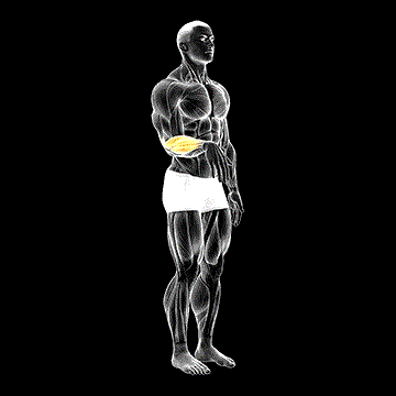 Wrist Extension demonstration