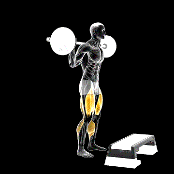 Barbell Squat Jump Step Rear Lunge demonstration