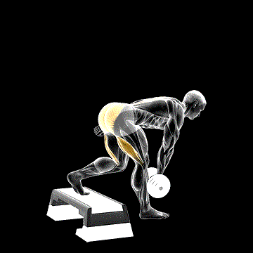 Dumbbell One-Leg Deadlift (w/ Stepbox Support) demonstration