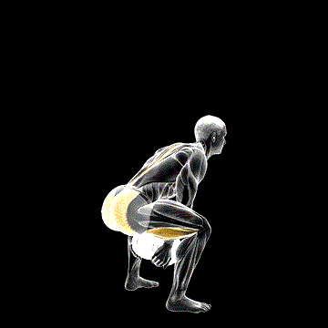 Dumbbell Sumo Pull-Through demonstration