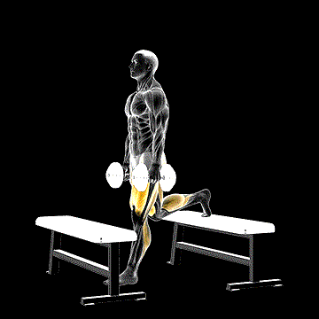 Dumbbell Step-up Split Squat demonstration