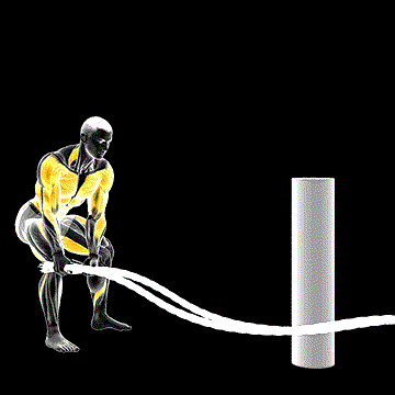 Battling Rope Side Raise demonstration