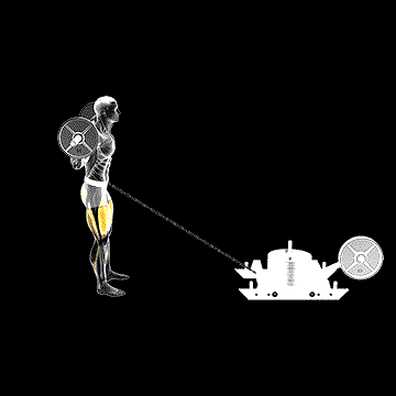 Power Sled Rear Lunge demonstration