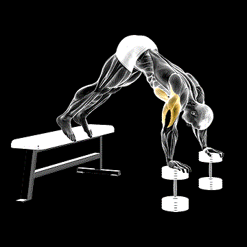 Pike Push-up (w/ Bench) demonstration