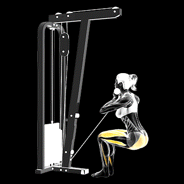 Cable Narrow Chair Stand-Up demonstration